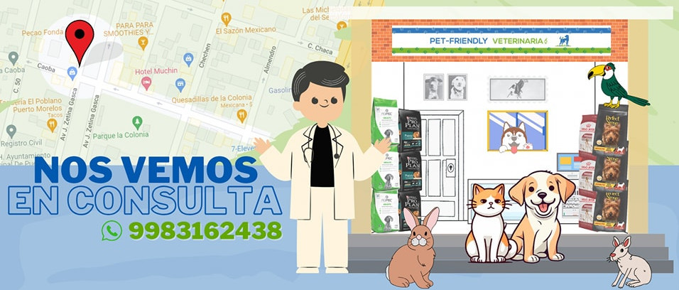 Pet-Friendly Veterinaria Puerto Morelos - Veterinarian Clinic for Dogs Cats Birds Exotics and Fish