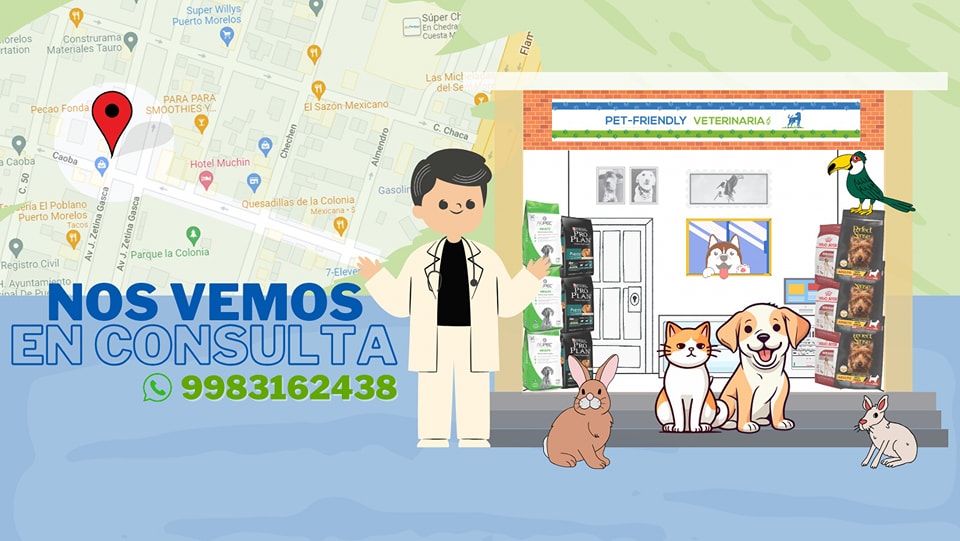 Dr. Pablo Rojo Mendoza - Veterinarian Pathology Cytology Specialist Puerto Morelos